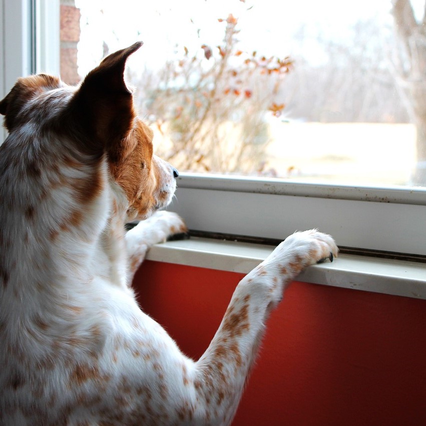 What's the Status of My Order?